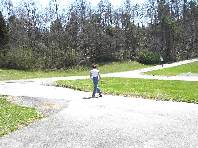 Image 8 of 128  -  75 kB