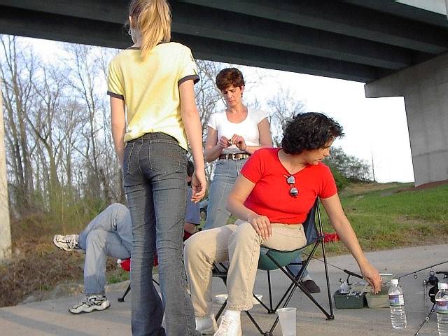 Image 37 of 128  -  59 kB