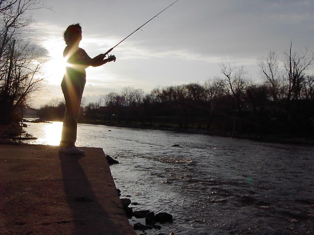 Image 45 of 128  -  81 kB