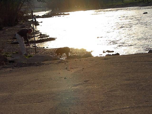 Image 51 of 128  -  60 kB