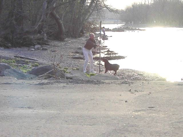 Image 53 of 128  -  51 kB