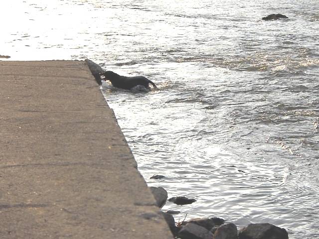 Image 54 of 128  -  65 kB