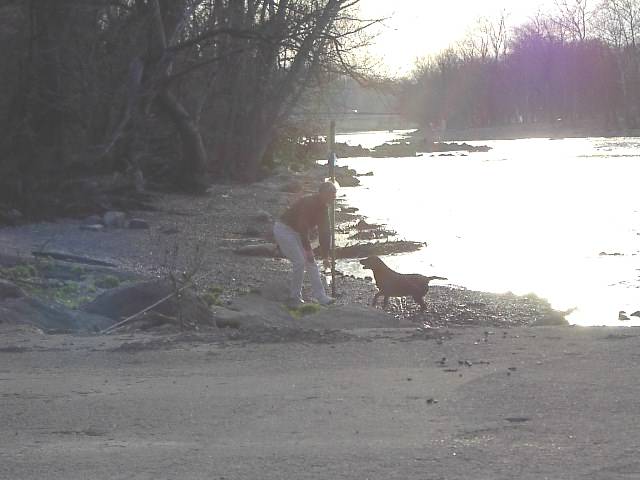 Image 55 of 128  -  34 kB