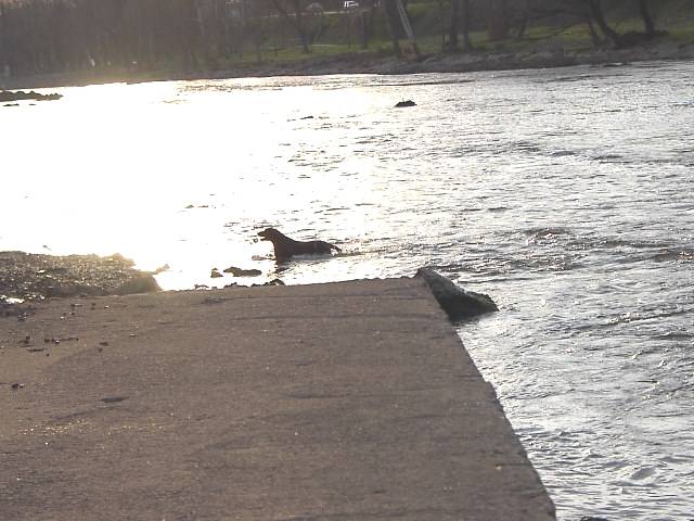 Image 56 of 128  -  51 kB