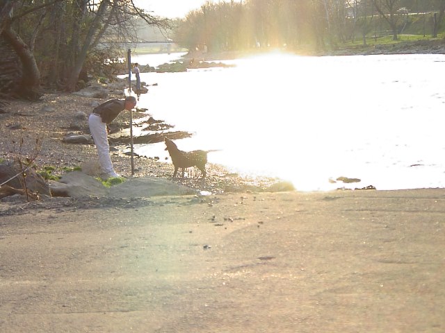 Image 58 of 128  -  74 kB