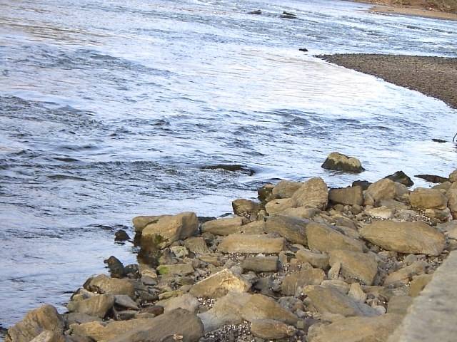 Image 60 of 128  -  67 kB